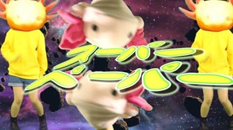 メキシコサラマンダー